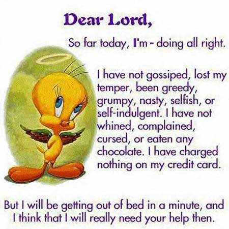Images Funny People on Tweety Funny Prayer Devout Pray By Tweety Fun Cartoon   Joke From